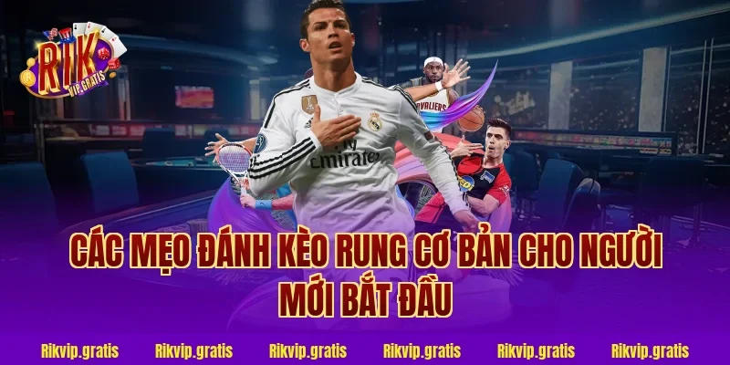 Các mẹo đánh kèo rung cơ bản cho người mới bắt đầu