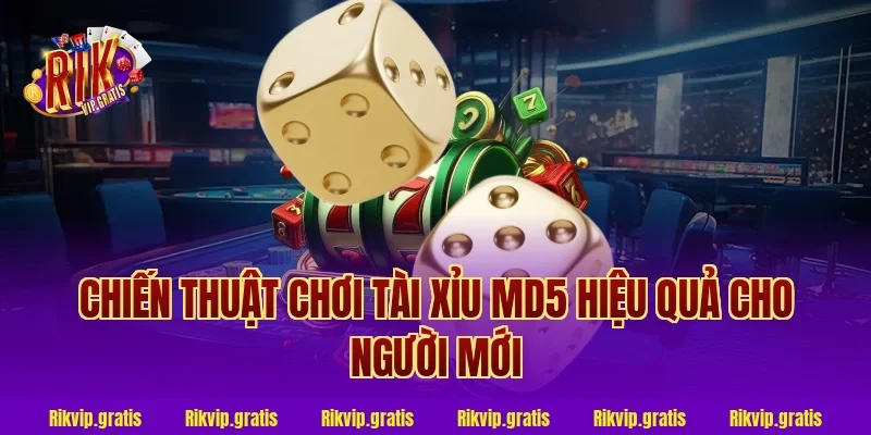 Chiến Thuật Chơi Tài Xỉu MD5 Hiệu Quả Cho Người Mới