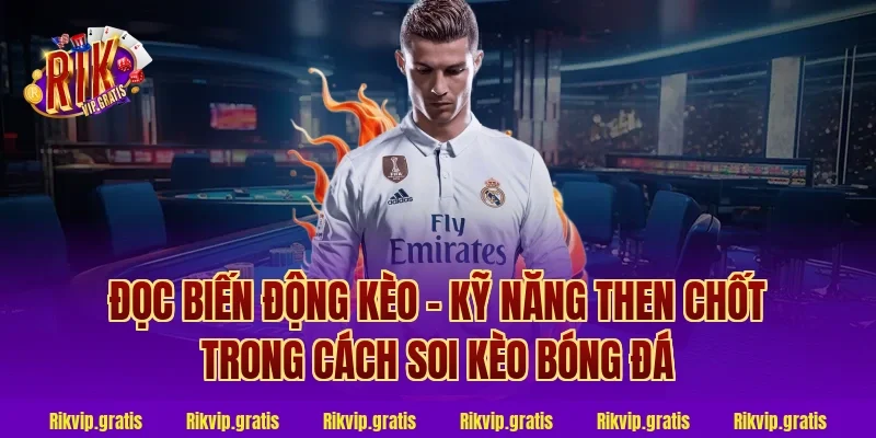 Đọc biến động kèo – kỹ năng then chốt trong cách soi kèo bóng đá