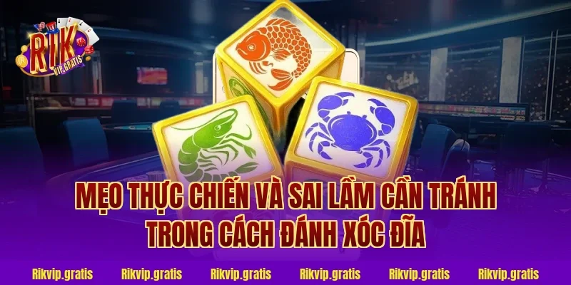 Mẹo thực chiến và sai lầm cần tránh trong cách đánh xóc đĩa