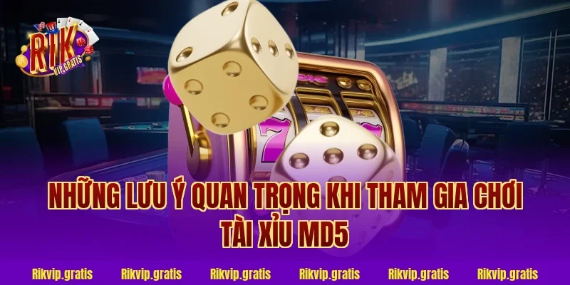 Những Lưu Ý Quan Trọng Khi Tham Gia Chơi Tài Xỉu MD5