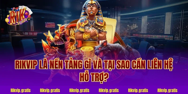 Rikvip Là Nền Tảng Gì Và Tại Sao Cần Liên Hệ Hỗ Trợ?