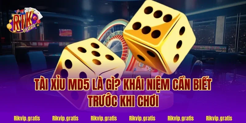 Tài Xỉu MD5 Là Gì? Khái Niệm Cần Biết Trước Khi Chơi